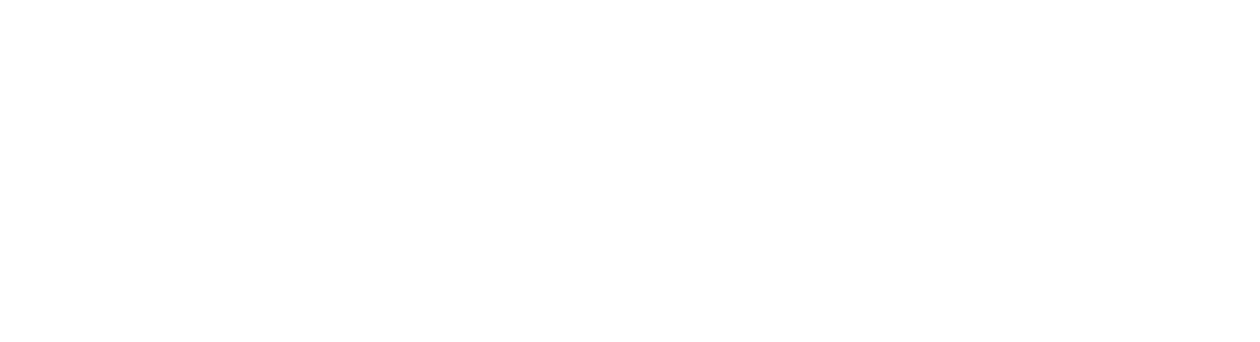 Akademia bolu logo white
