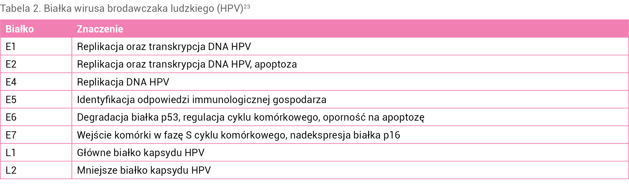 Tabela 2. Białka wirusa brodawczaka ludzkiego (HPV)23