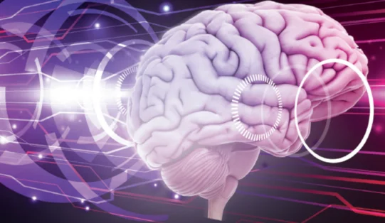 X Kongres Akademii po Dyplomie Neurologia - informacje dla uczestników
