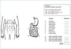 Peritoneal Cancer Index