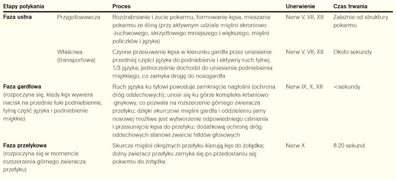 Tabela 1. Etapy połykania