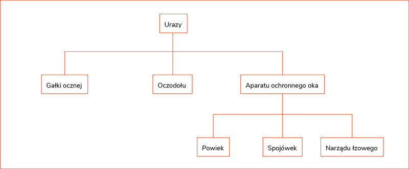 Rycina 1. Podział ogólny obrażeń oczu