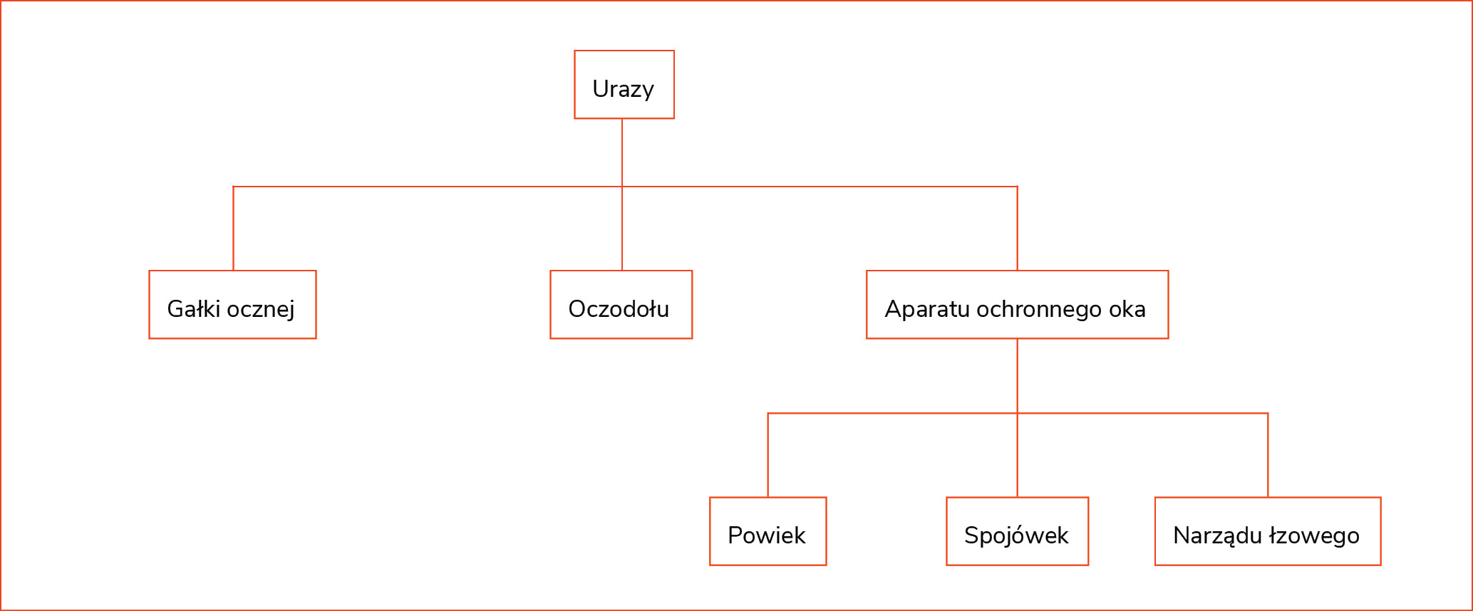 Rycina 1. Podział ogólny obrażeń oczu