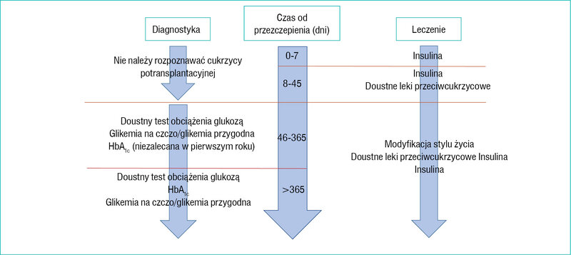 Rycina 1. Diagnostyka i postępowanie w cukrzycy potransplantacyjnej1 (modyfikacja własna)
