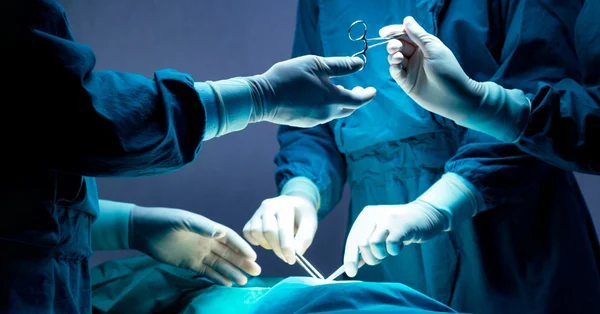 Rekordowa liczba transplantacji nerek w jeden tydzień w Lublinie