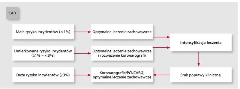 Rycina. Schemat postępowania po stratyfikacji ryzyka CAD.