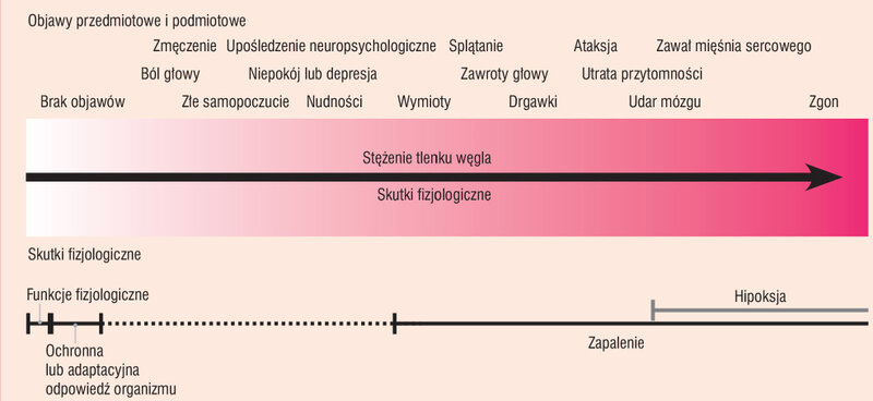  Rycina 1. Zakres objawów i efektów działania tlenku węgla w zależności od wielkości i czasu trwania ekspozycji