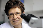 prof. dr hab. med. Maria Majdan
