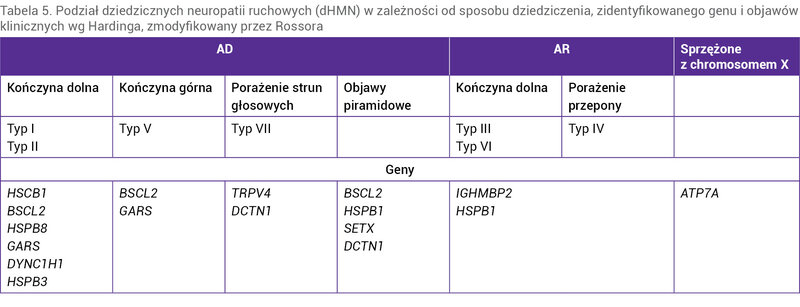 Tabela 5. Podział dziedzicznych neuropatii ruchowych (dHMN) w zależności od sposobu dziedziczenia, zidentyfikowanego genu i objawów klinicznych wg Hardinga, zmodyfikowany przez Rossora