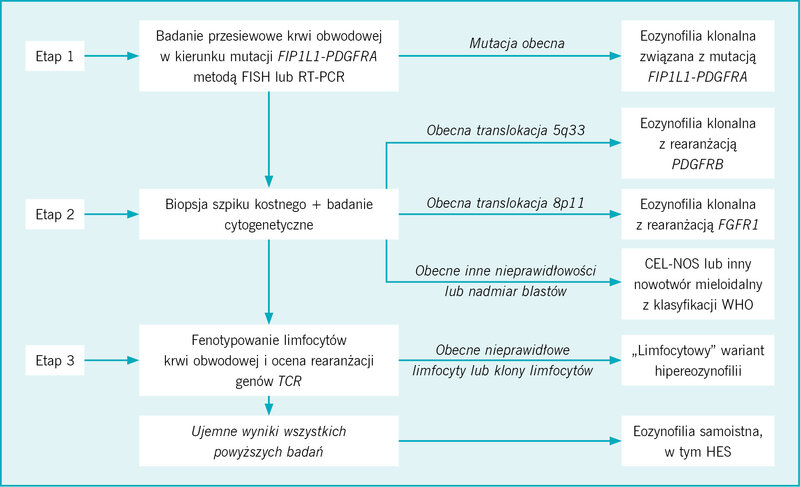 Rycina. Algorytm diagnostyki eozynofilii klonalnej lub samoistnej