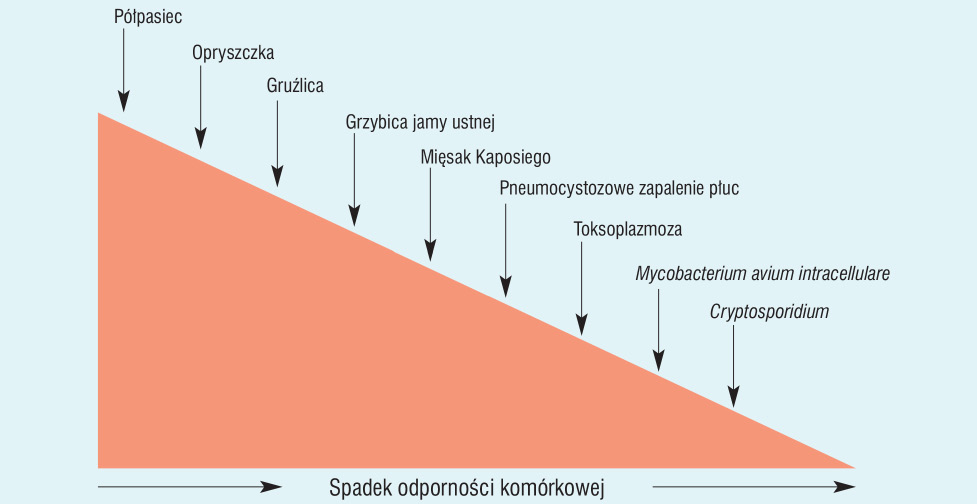  Rycina 1. Kolejność występowania poszczególnych zakażeń oportunistycznych w naturalnej historii zakażenia wirusem HIV
