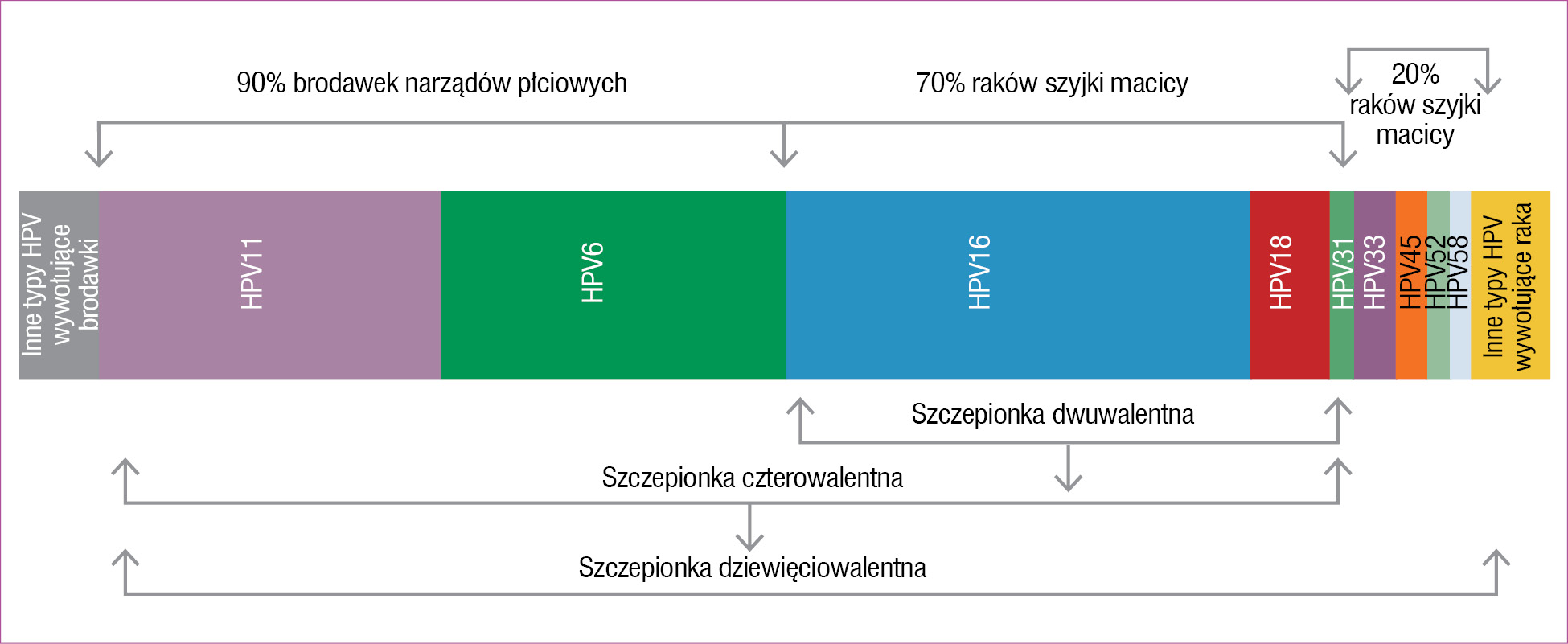Rycina. Typy HPV a aktywność szczepionek