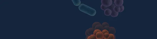 O antybiotykoterapii praktycznie – od juniora do seniora | Bezpłatny webinar już dziś o 18:30!