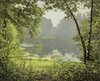 Henri Biva