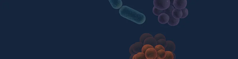 O antybiotykoterapii praktycznie – od juniora do seniora | Bezpłatny webinar już dziś o 18:30!