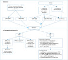 Birmingham Vasculitis Activity