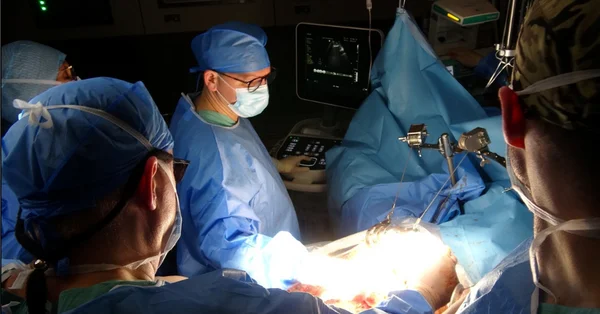 Pierwsze zastosowanie technologii natleniania HOPE do pozaustrojowej regeneracji wątroby