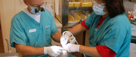System kształcenia dentystów mało efektywny 