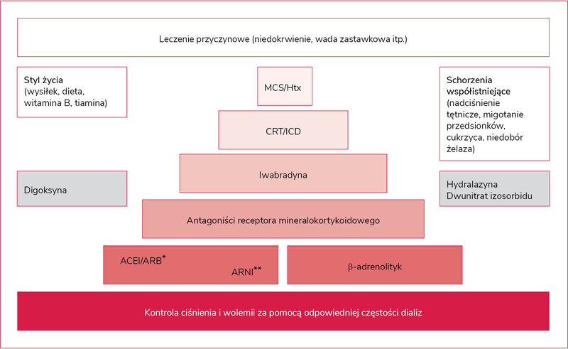 Rycina 6. Terapia niewydolności serca z obniżoną frakcją wyrzutową lewej komory (HFrEF) u chorych ze schyłkową niewydolnością nerek (ESRD)10