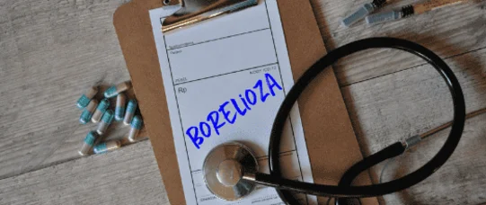 Lekarze rodzinni będą rozpoznawać boreliozę?