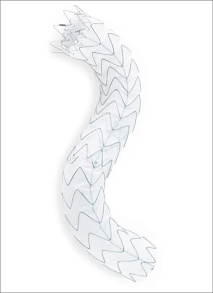 Rycina 1. Stentgraft Valiant (Medtronic).