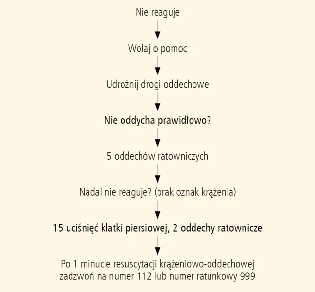 Rycina. Algorytm BLS u dzieci.