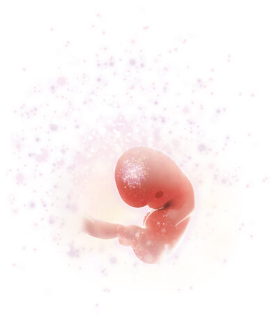 Ilustracja-1male.jpg