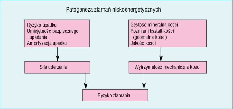  Rycina 1. Czynniki patogenetyczne złamań osteoporotycznych