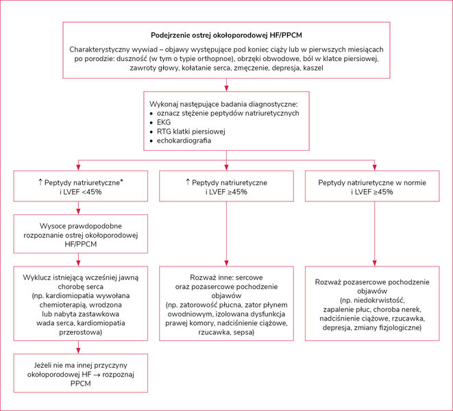 Rycina 1. Algorytm diagnostyczny u pacjentek z podejrzeniem ostrej okołoporodowej HF/PPCM