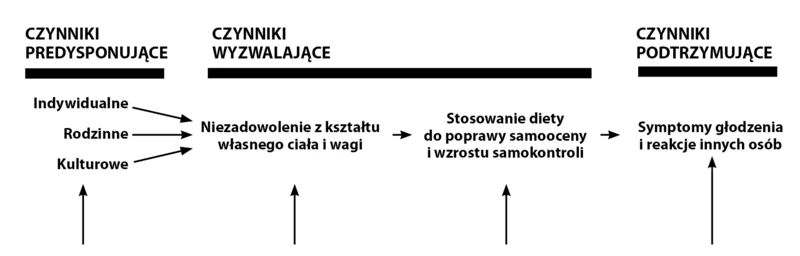 
 
 Wykres 1. Patogeneza zaburzeń odżywiania – model wieloczynnikowy wg D. Garnera (1993).