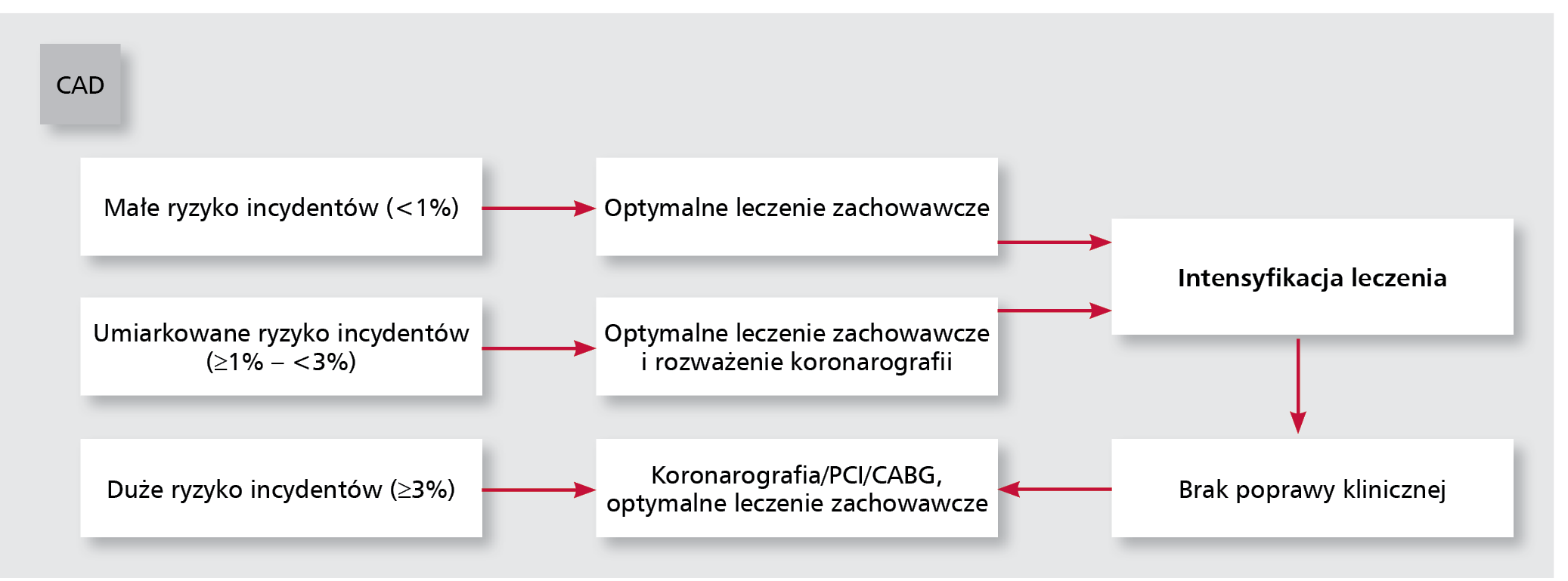 Rycina. Schemat postępowania po stratyfikacji ryzyka CAD.
