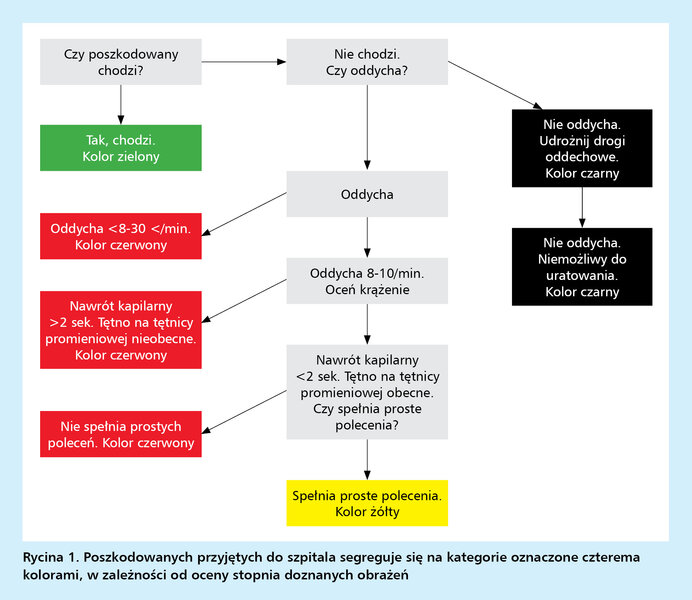 Rycina 1. Poszkodowanych przyjętych do szpitala segreguje się na kategorie oznaczone czterema kolorami, w zależności od oceny stopnia doznanych obrażeń