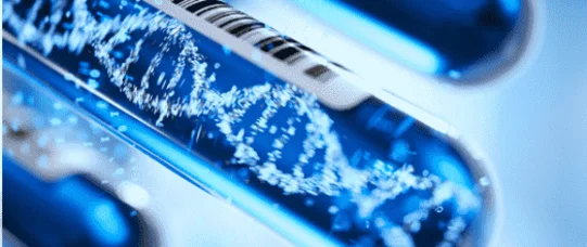 W Gliwicach uruchomiono Zakład Diagnostyki Genetycznej i Molekularnej Nowotworów