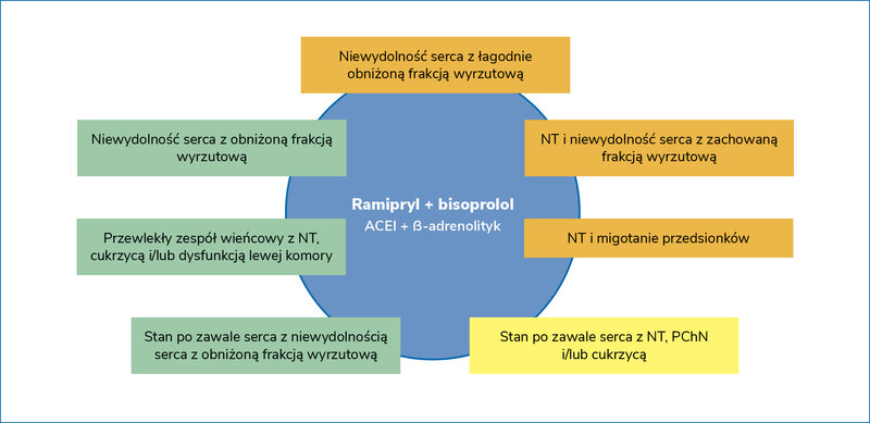 Rycina 1. Zastosowania połączenia inhibitora konwertazy angiotensyny i β-adrenolityku. Na zielonym tle przedstawiono zalecenia klasy I, na jasnożółtym klasy IIa, a na ciemnożółtym klasy IIb