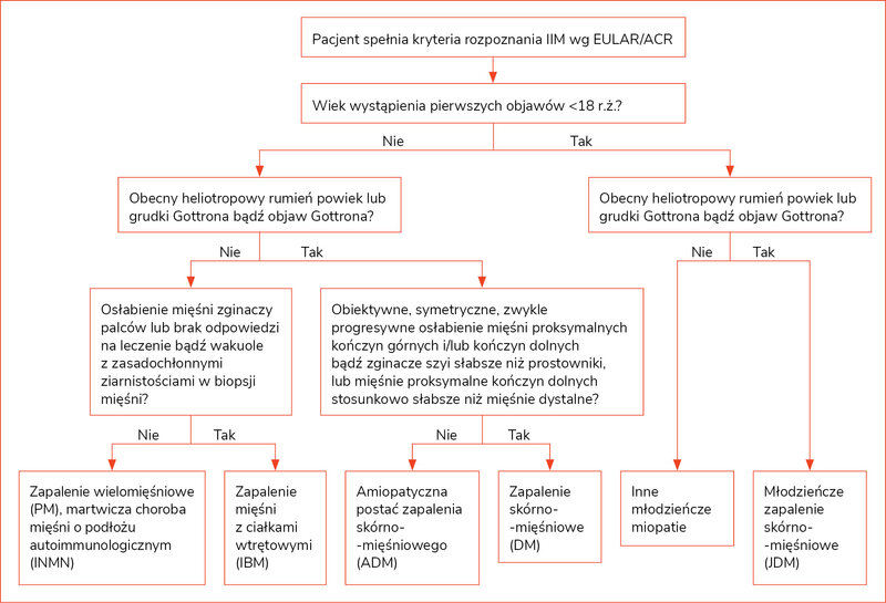 Rycina 1. Schemat diagnostyczny idiopatycznego zapalenia mięśni (IIM)