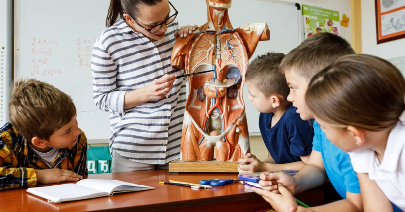 To inwestycja w przyszłość bez chorób przewlekłych – onkolodzy i kardiolodzy apelują o rzetelną edukację zdrowotną