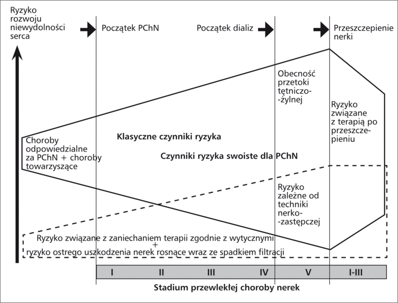 Rycina 1. Czynniki ryzyka sercowo-naczyniowego i ich związki z okresem PChN.