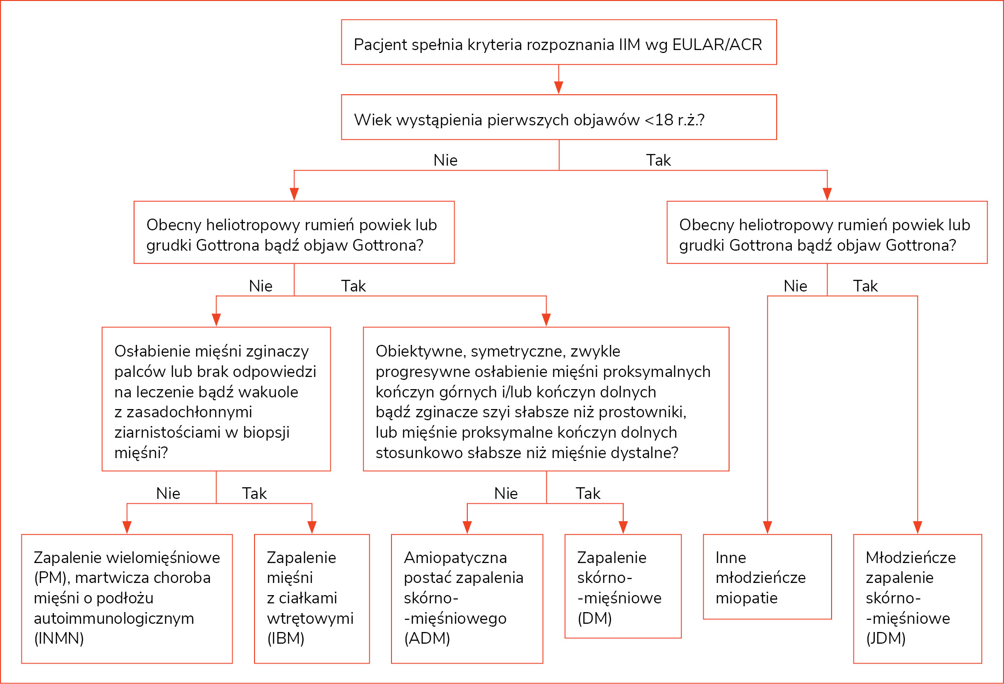 Rycina 1. Schemat diagnostyczny idiopatycznego zapalenia mięśni (IIM)