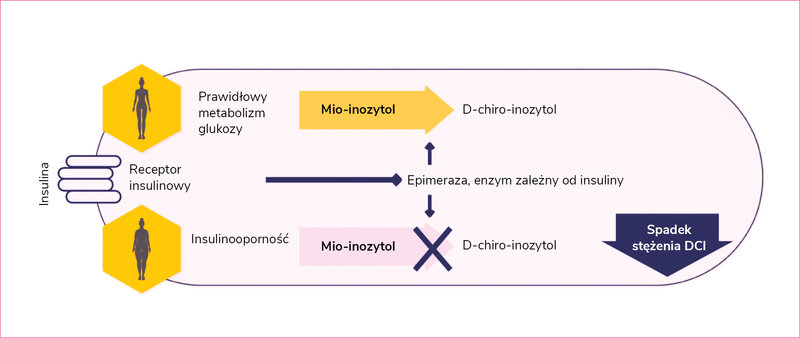Rycina 2. Zależności między metabolizmem inozytoli a insuliny