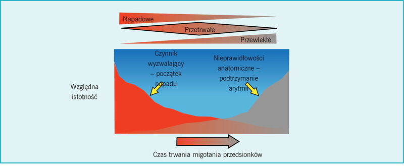  Rycina 6. Napadowe migotanie przedsionków jest zupełnie inną jednostką chorobową niż migotanie przetrwałe czy utrwalone. W inicjowaniu napadu migotania ważną rolę odgrywają ogniska wyzwalania, podczas gdy do podtrzymywania migotania przedsionków konieczne są nieprawidłowości strukturalne. Choć nie znamy dokładnie naturalnego przebiegu napadowego migotania przedsionków, u wielu pacjentów przechodzi ono w postać bardziej utrwaloną.