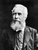 Ernst Haeckel