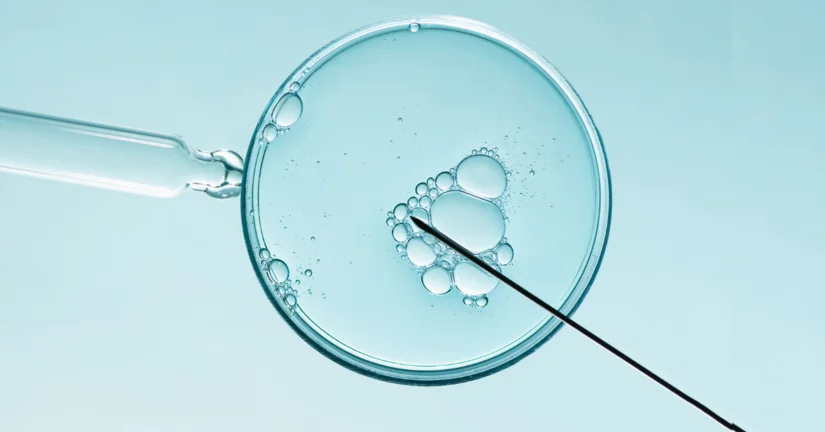 Sukces programu in vitro: ponad 5000 ciąż w pół roku