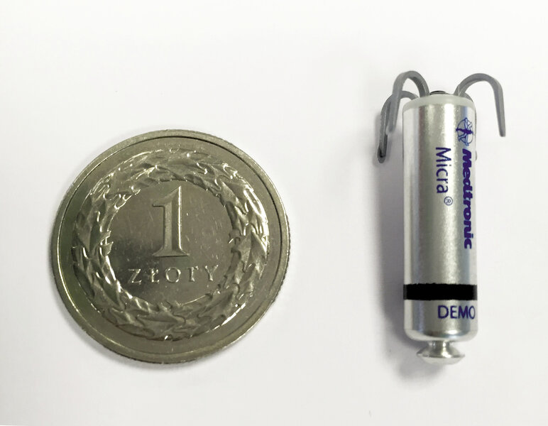 Ryc. 1. Porównanie wielkości z monetą jednozłotową.