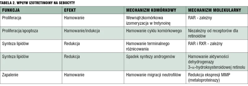 
 
 
 
 tabela 2. Wpływ izotretinoiny na sebocyty