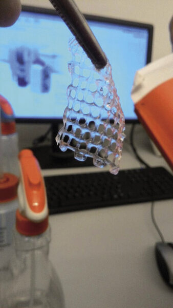 Ryc. 1. Wydrukowany na biodrukarce 3D płatek zawierający wyspy trzustkowe.