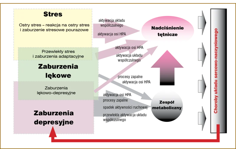 
 
 
 
 Rysunek 2. Rola patomechanizmów zaburzeń depresyjnych, lękowych i adaptacyjnych w nadciśnieniu tętniczym, zespole metabolicznym  i chorobach układu sercowo-naczyniowego.