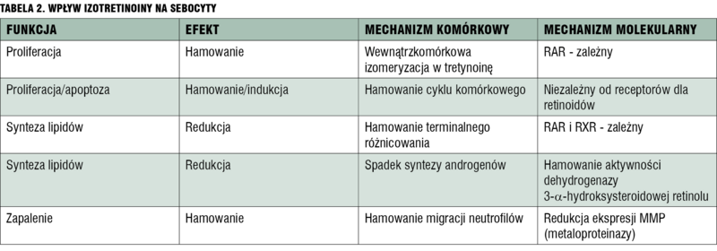 
 
 
 
 tabela 2. Wpływ izotretinoiny na sebocyty