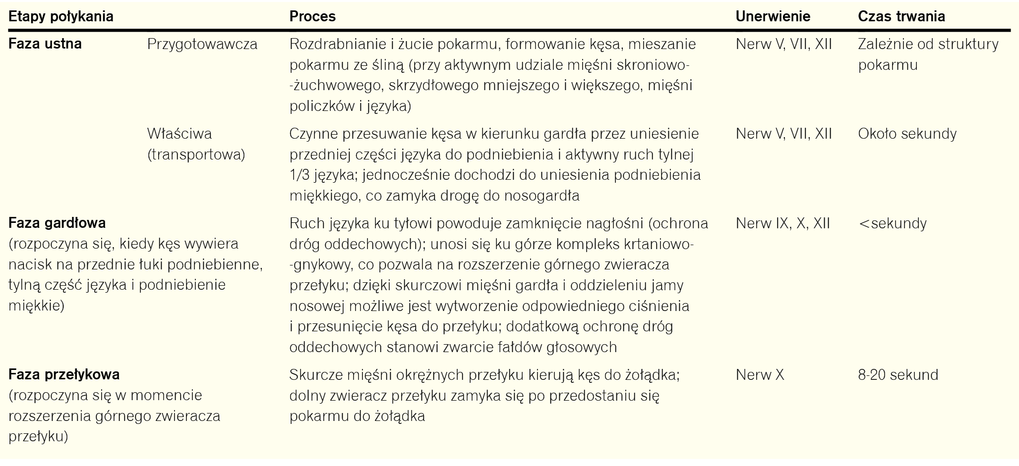 Tabela 1. Etapy połykania