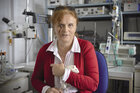 prof. dr hab. Elżbieta Kompanowska-Jezierska