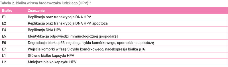 Tabela 2. Białka wirusa brodawczaka ludzkiego (HPV)23